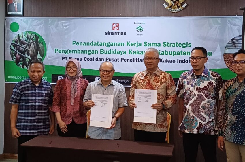 Tidak Main-main, Berau Coal Gandeng Puslitkoka PT RPN