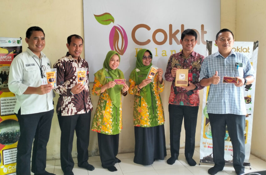 Support Berau Coal Lewat “Manisnya” Kakao Berau