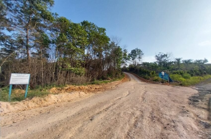 Konektivitas Kampung: Jalan Mulus, Ekonomi Berau Tumbuh Merata