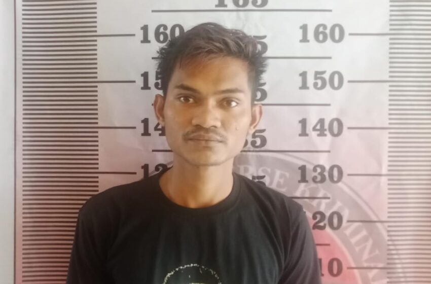 Pencuri Sawit Dibekuk, 1 Pelaku Masih Buron