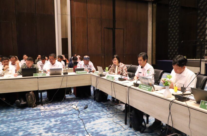 Pemprov Kaltim Jalani Penilaian Tahap II PPD 2024