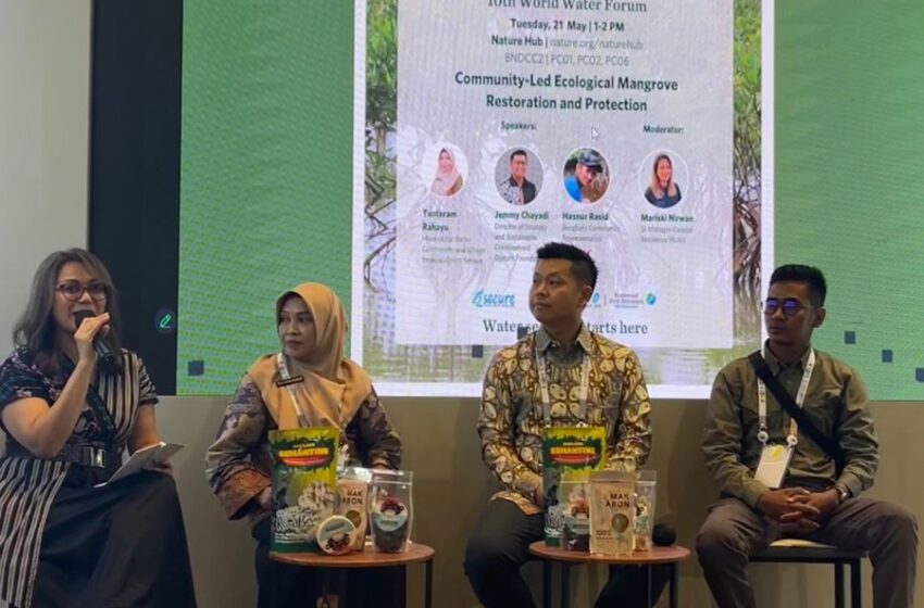 Restorasi Mangrove Berbasis Masyarakat di Berau