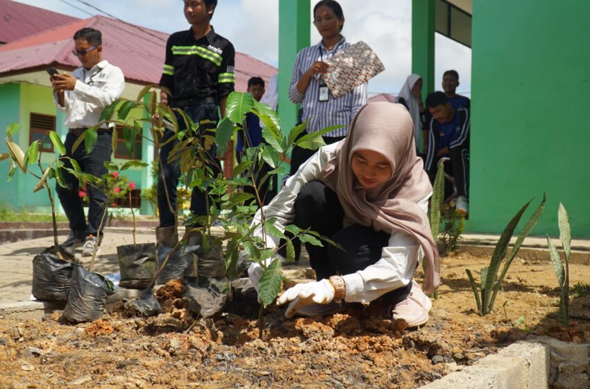 Memaknai Peringatan Hari Lingkungan Hidup Sedunia, Berau Coal Lakukan Kegiatan ini