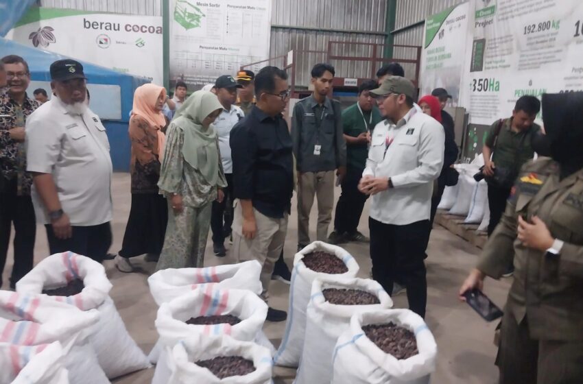 DPRD Desak Hilirisasi Kakao Berau, Pemkab Berlanjut Targetkan 100 Ha Lahan Tanam Baru