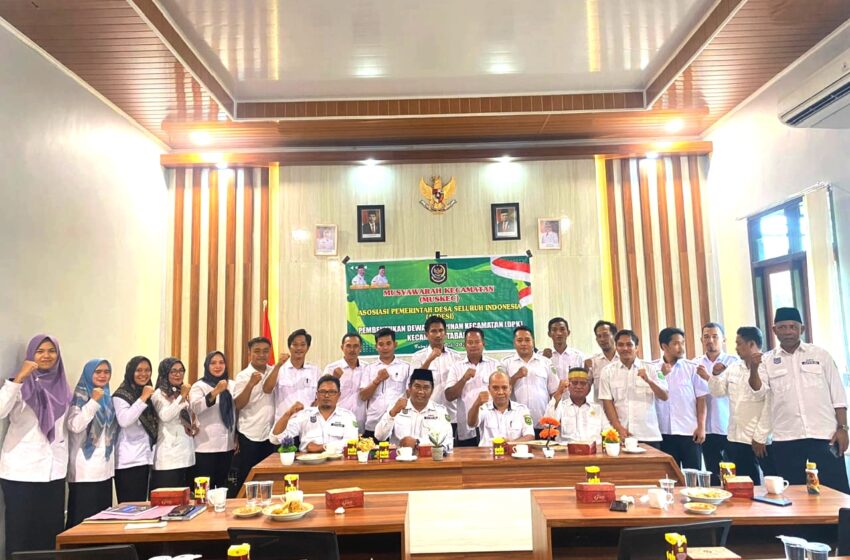 DPK APDESI Kecamatan Tabalar Terbentuk