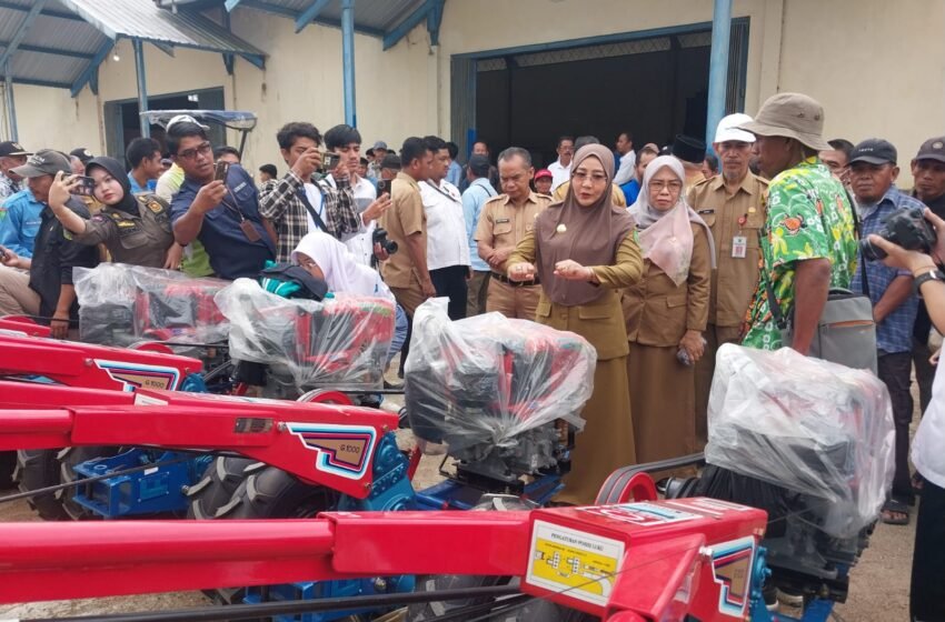 Belum Mandiri Pangan Bupati Harapkan Jangan Ada Alih Fungsi Lahan Pertanian
