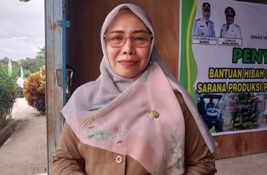 Bangun Pabrik Kakao, Pemkab Berau Siap Datangkan Investor Jepang