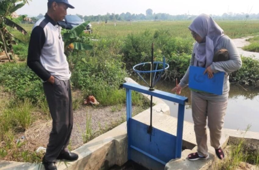 Petakan Infrastruktur Pertanian Hingga 2025, Upaya Pemkab Pertahankan Lahan Sawah Eksisting