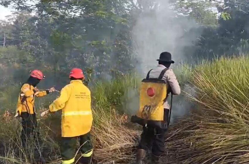 Karhutla Berpotensi Terjadi di 11 Kecamatan, BMKG Keluarkan Peringatan Dini