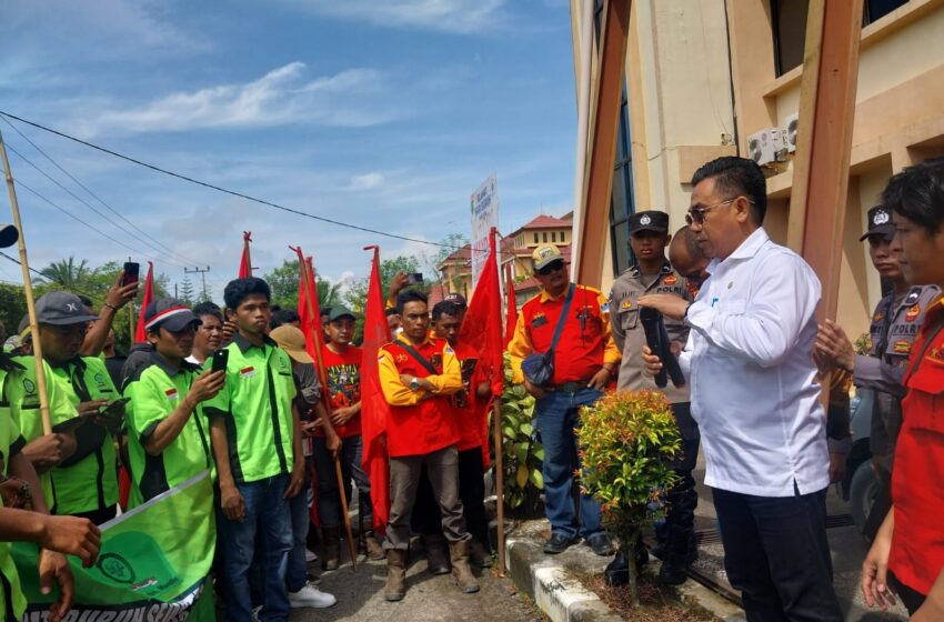 Tenaga Kerja Lokal Capai 30.061 Orang, Upgrade Skill Terus Dimaksimalkan