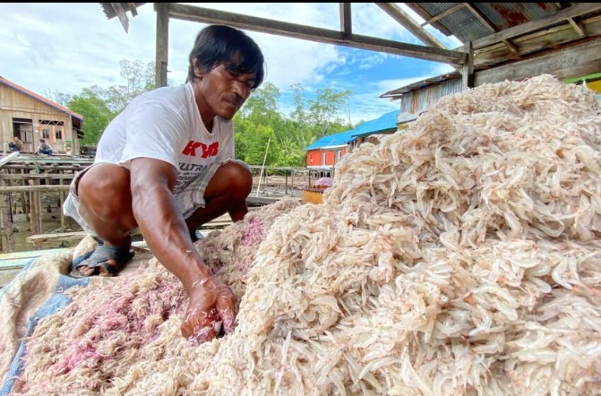 Pemkab Berau Dorong Produk Unggulan Lokal Tembus Ritel Nasional