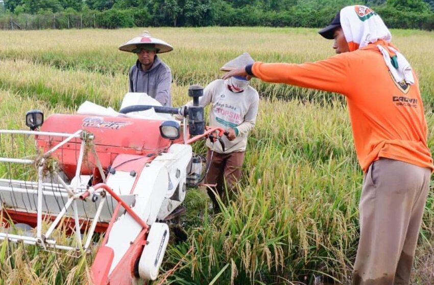Dukung Pertanian, Pemkab Berau Kucurkan Rp 211,22 Miliar Bangun Saluran Irigasi