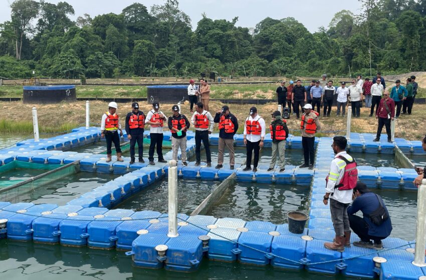 Kepala DLHK Berau Dorong Keberlanjutan Lingkungan dan Kolaborasi Perusahaan