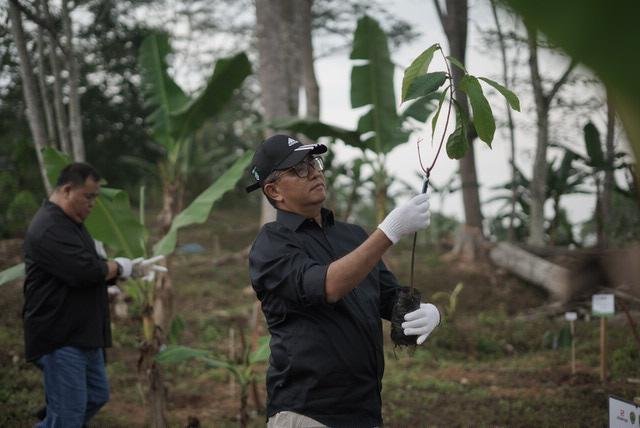 Pj Gubernur Kagum Lahan Eks Tambang Berau Coal Jadi Lahan Tanam Kakao