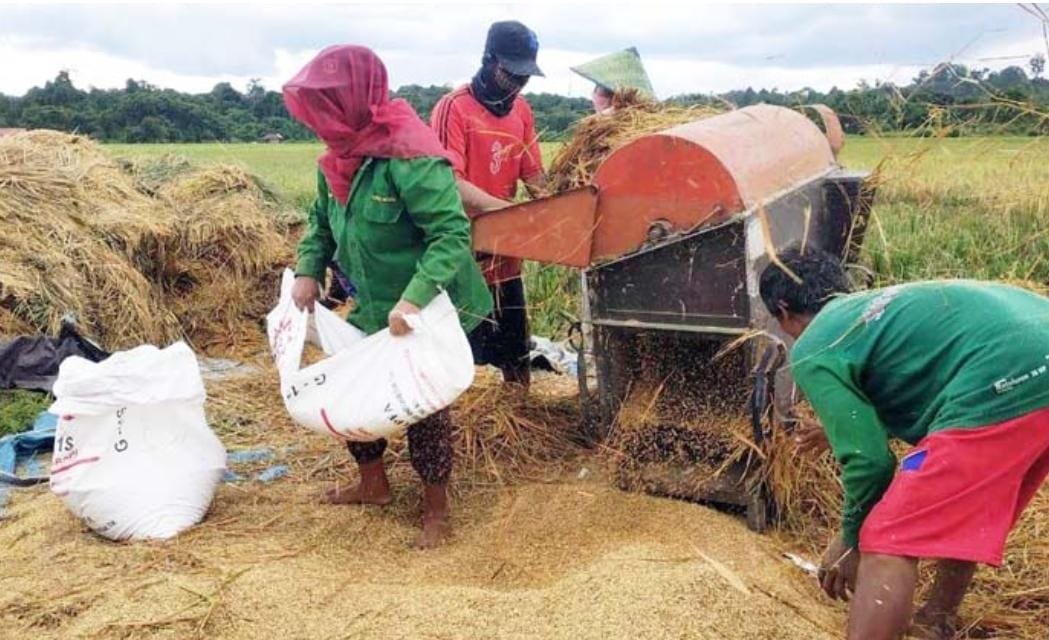 DTPHP Berau Tambah 35 Tenaga Penyuluh Pertanian Lewat Jalur CPNS