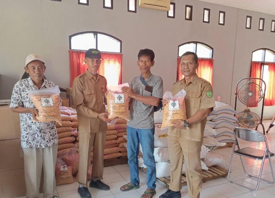 Produksi Padi Sawah Tahun 2024 Capai 9.741 Ton, DTPHP Sambut Brigade Pangan