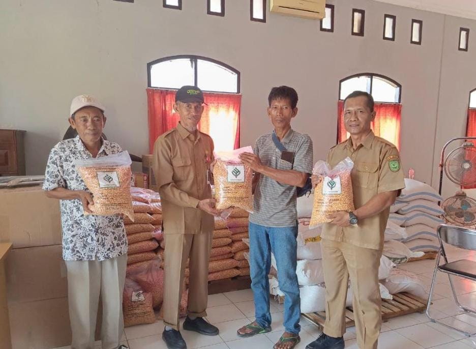 Benih Jagung Masih Dibutuhkan di 12 Kecamatan, DTPHP Minta Dukungan Pemprov
