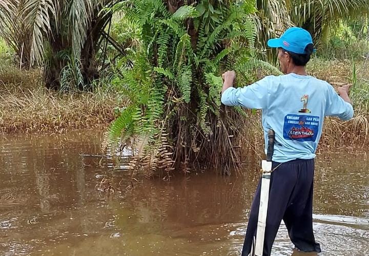 Diduga Terlibat Pencemaran Lingkungan, DPRD Dorong Pemkab Periksa PT BBA