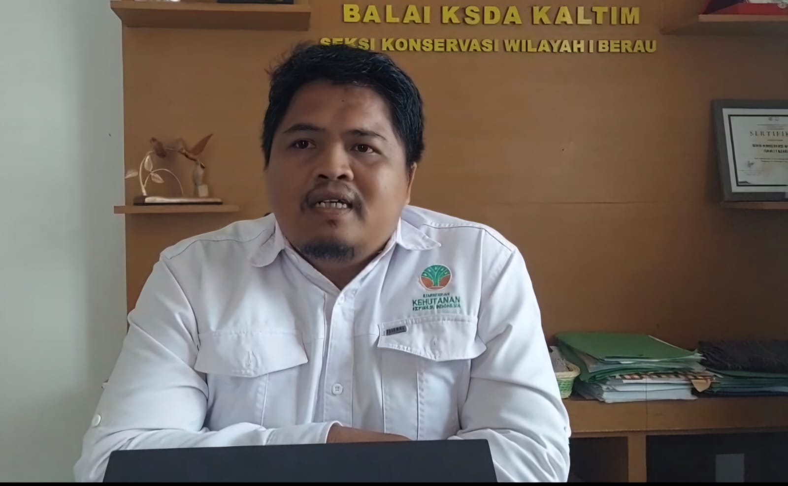 BKSDA Kecam Tindakan Pemuda Berau Tunggangi Penyu Hijau
