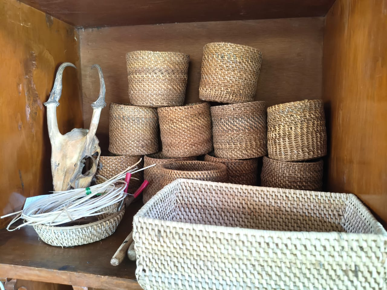 Dorong Generasi Muda Pesisir Jadi Pengrajin Rotan