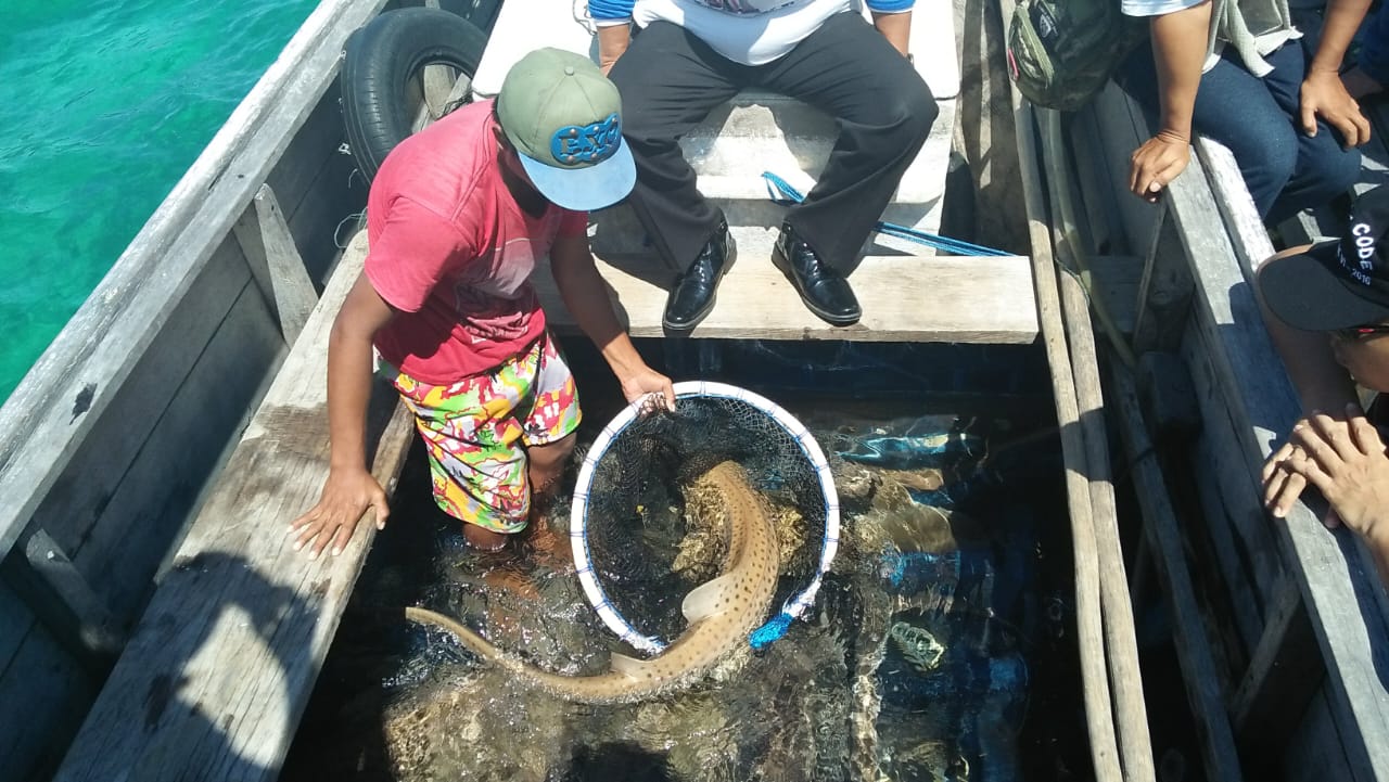 Berau dalam Program Nasional Kampung Nelayan Merah Putih KKP