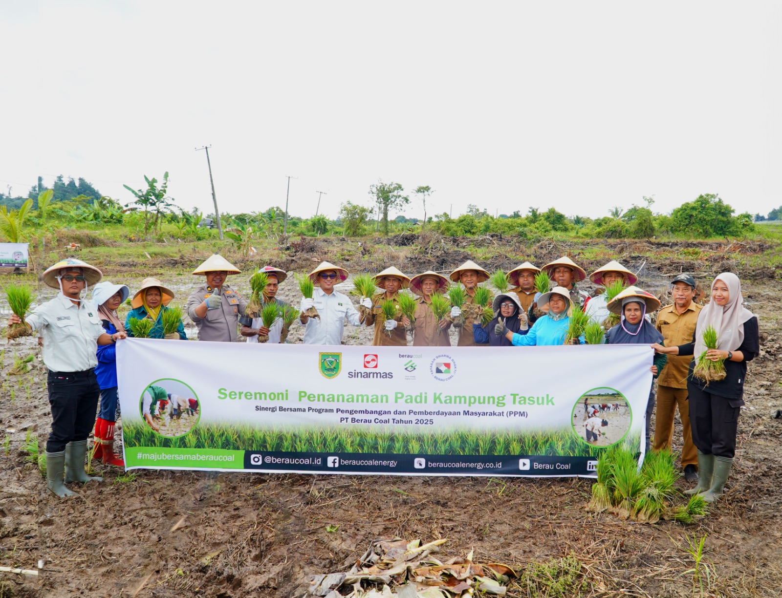 Sinergi Berau Coal, Hidupkan Semangat Petani Tasuk