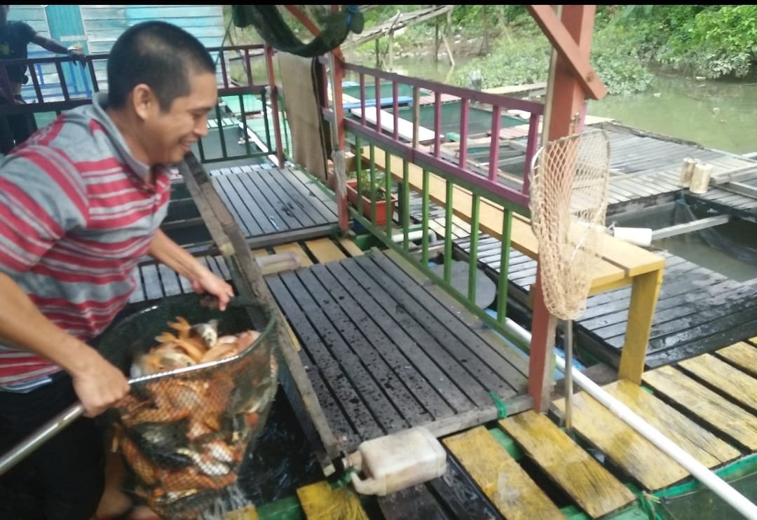 Diskan Dorong Masyarakat Budidayakan Ikan Air Tawar