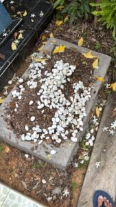 WhatsApp Image 2025 12 07 at 14.56.50