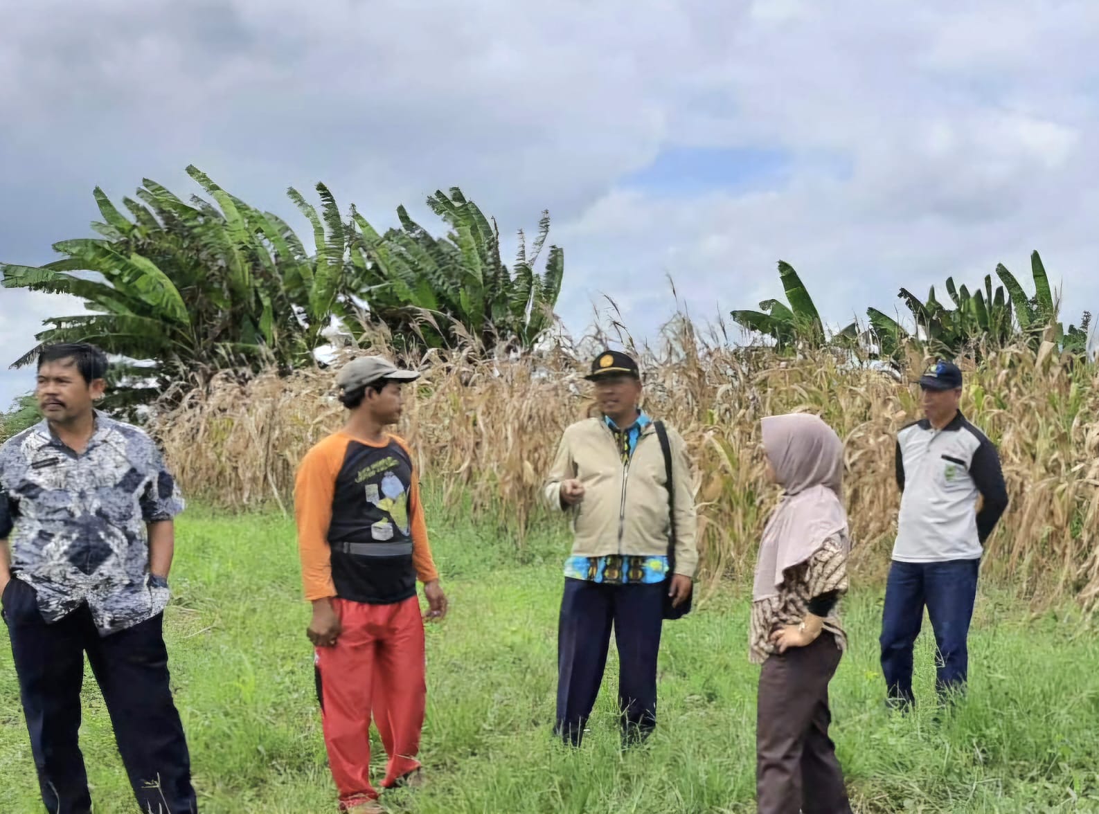 Maksimalkan Program Pendampingan bagi Petani, Dewan Minta DTPHP Tambah PPL