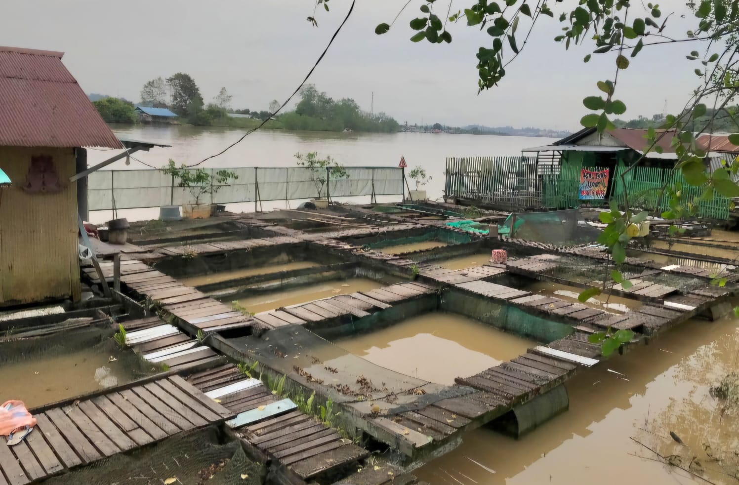 Sungai Segah dan Kelay Dinilai Makin Keruh, Pemkab Diminta Segera Cari Solusi