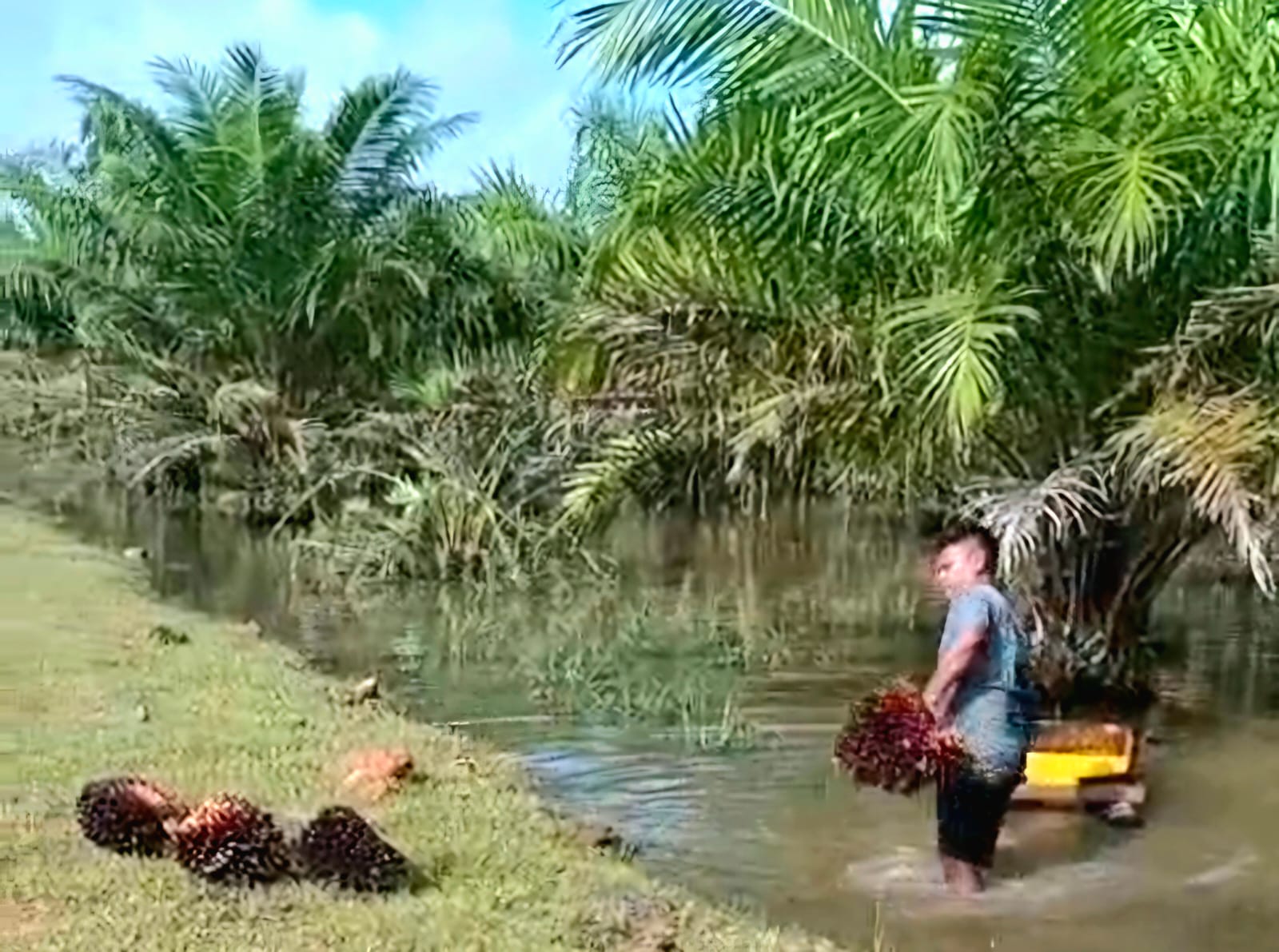 Tanggapi Keluhan Warga Soal Banjir, BBA Siap Bongkar Jembatan BJP