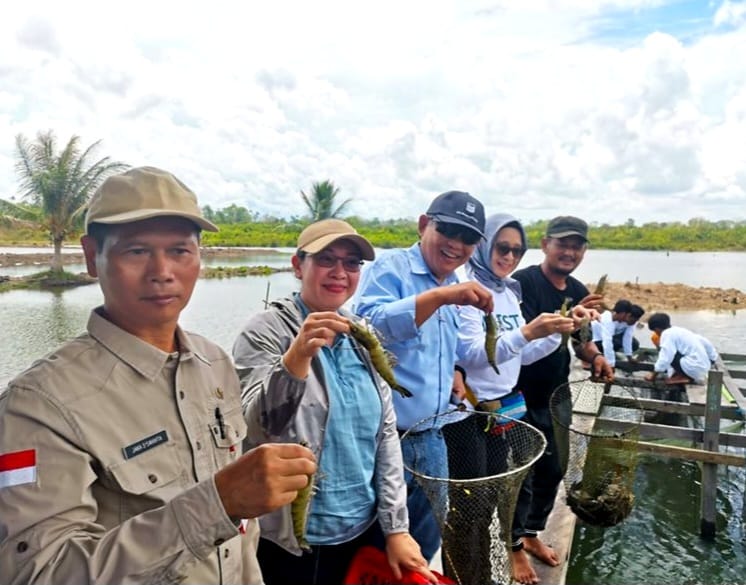 Sektor Udang Windu Menjanjikan, Pemkab Berau Diminta Tingkatkan Fasilitas Hatchery