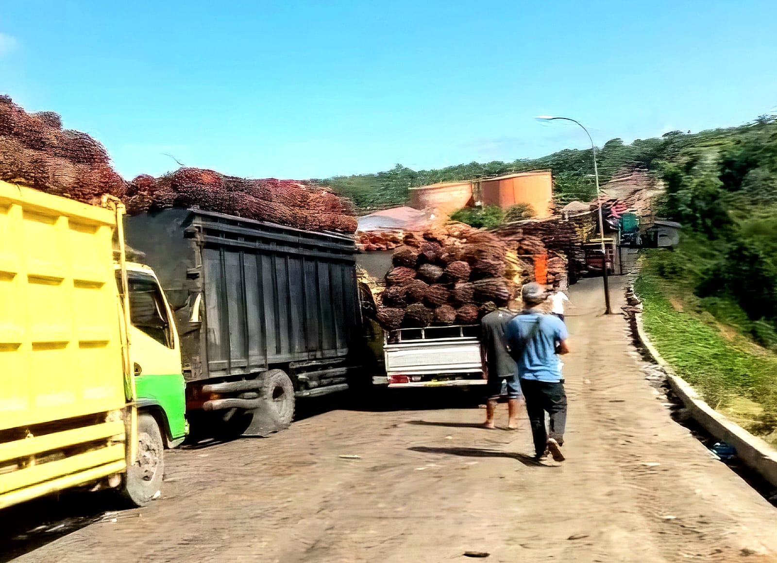 Produksi Batubara Menurun, Hilirisasi CPO Dinilai Berpeluang Genjot PAD