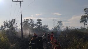 Sinergi Tanggulangi Karhutla, ERG PT Berau Coal Turun Tangan Padamkan Api di Tumbit Melayu 18 IMG 20260610 WA0010