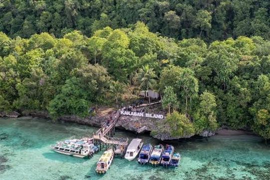 Pulau Kakaban Tanpa Penjagaan, Pungli Menjamur: Ekosistem Terancam