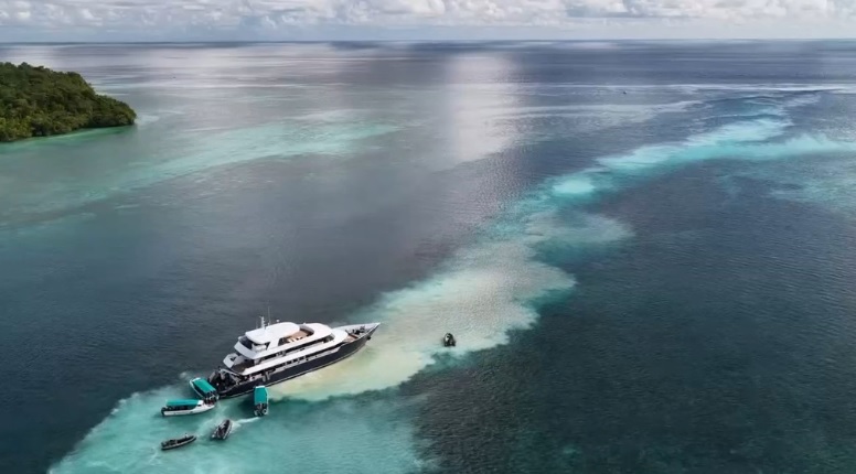 Terumbu Karang Maratua Terancam, Kapal Wisata Kandas di Spot Selam Favorit