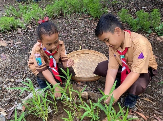 Disdik Berau Dorong Sekolah Manfaatkan Lahan Kosong untuk Pasok Kebutuhan Pangan SPPG