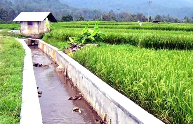 Dukung Ketahanan Pangan, DPUPR Berau Kucurkan Rp80,1 Miliar untuk 24 Titik Jaringan Irigasi di 2026