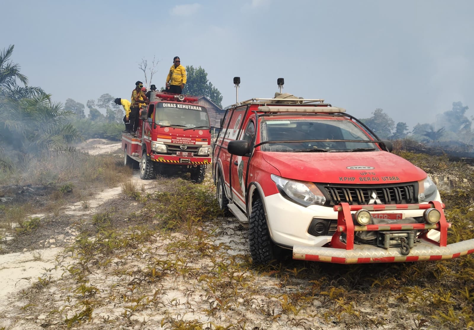 Bupati Minta Warga Berau Waspada Kebakaran di Tengah Cuaca Ekstrem El Nino
