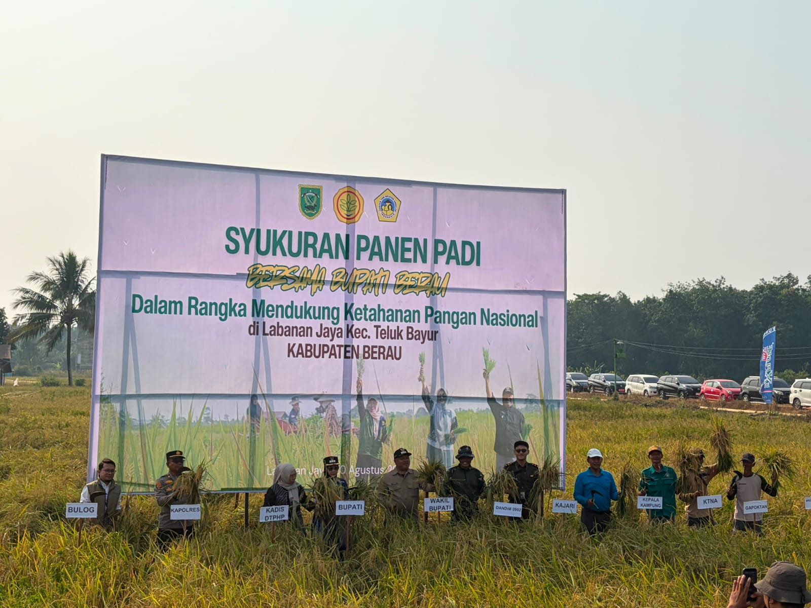 Labanan Jaya Sukses Panen Padi Premium di Tengah Tantangan Cuaca Ekstrem
