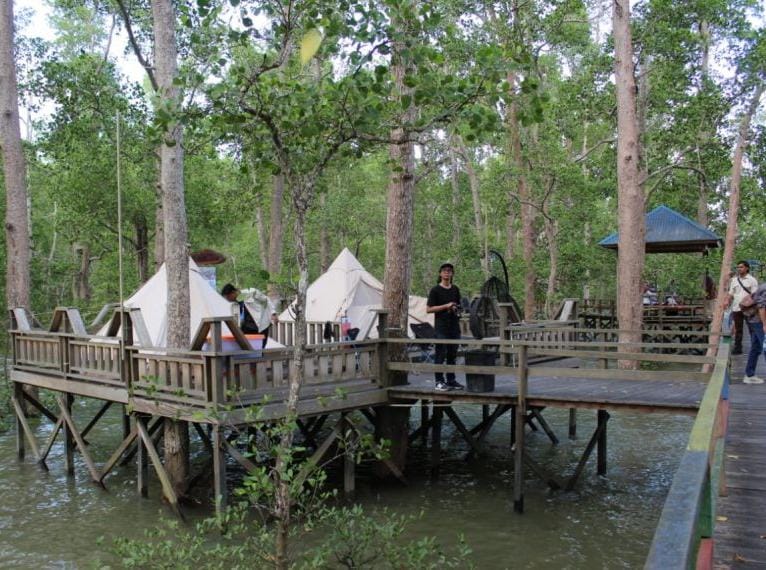 Matangkan Konsep Eduwisata Mangrove, Disbudpar Berau Siap Gandeng Lintas OPD
