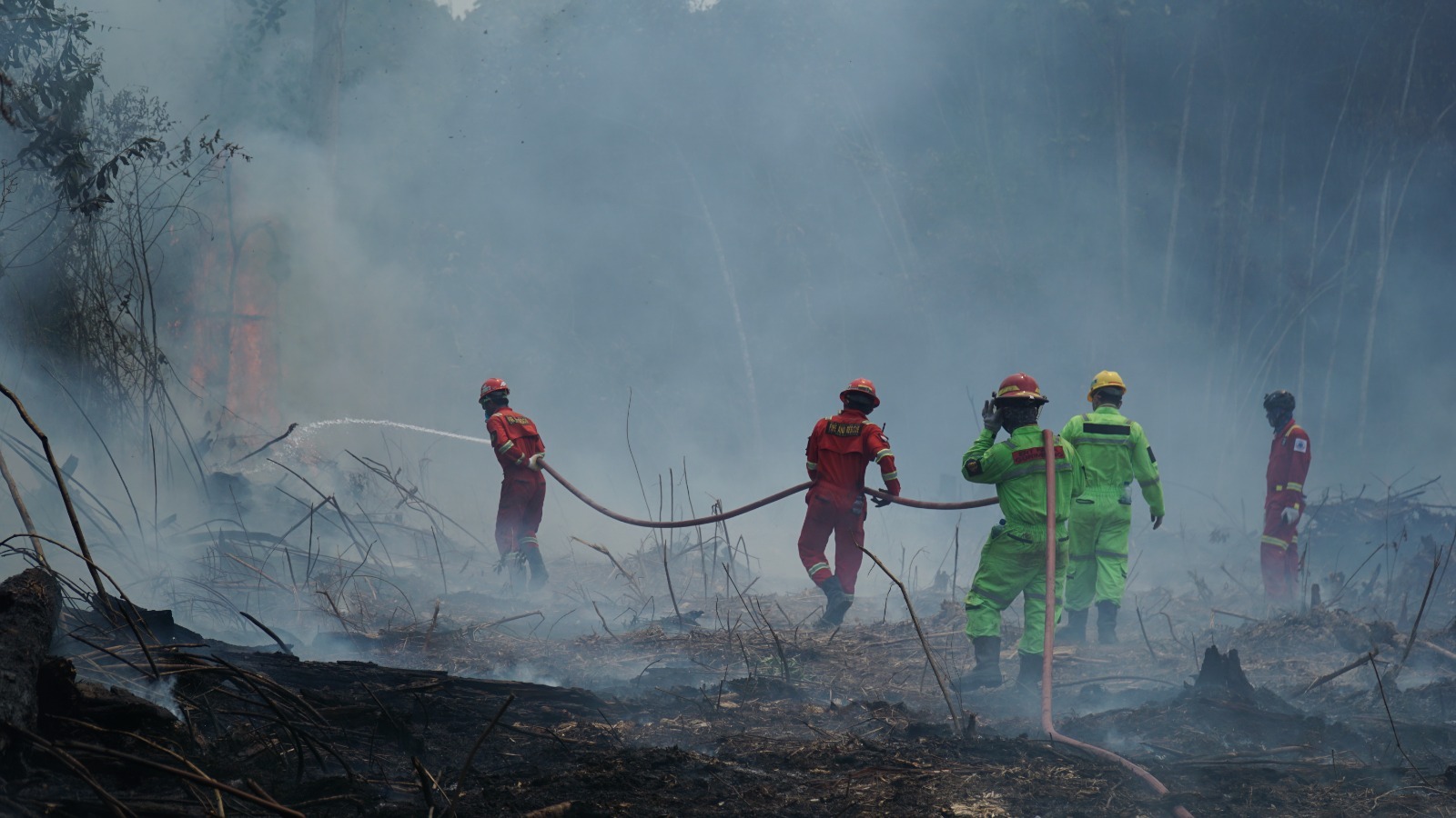Perkuat Tim Gabungan, PT Berau Coal Turunkan Personel dan Teknologi Atasi Karhutla di Berau