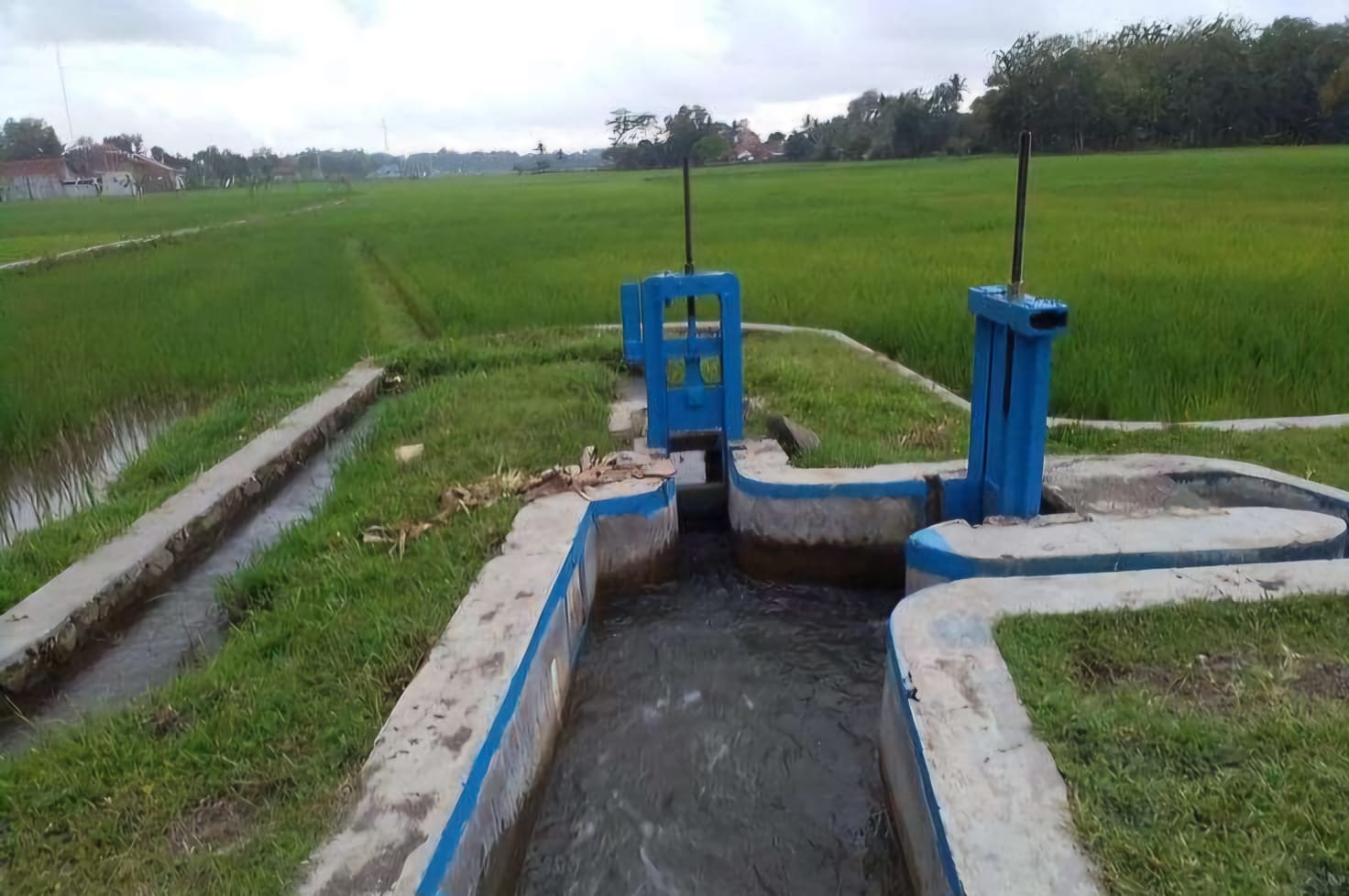 Sokong Ketahanan Pangan, Jaringan Irigasi Tersier Labanan Jaya Terus Dibenahi Bertahap