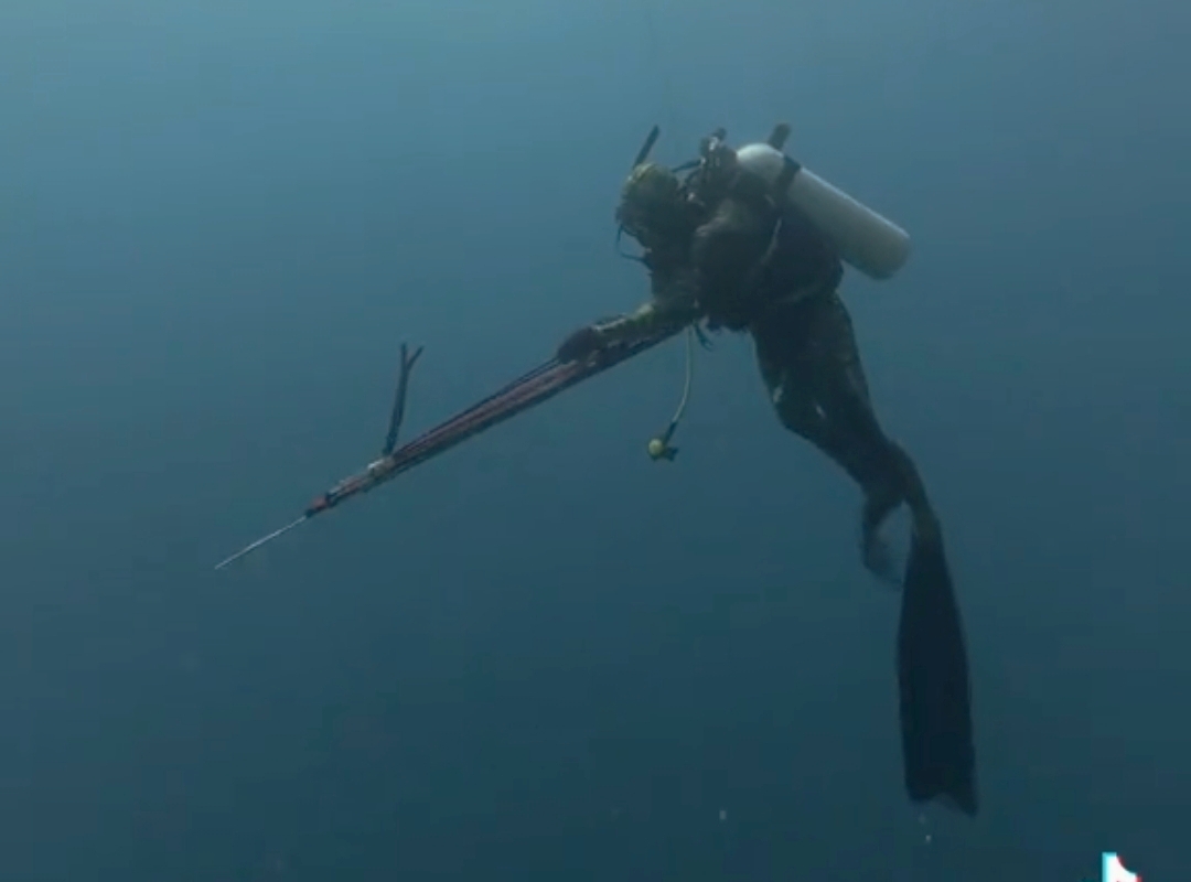 Komunitas Divers Kecam Speargun Fishing di Maratua, Disbudpar Bakal Siapkan SOP