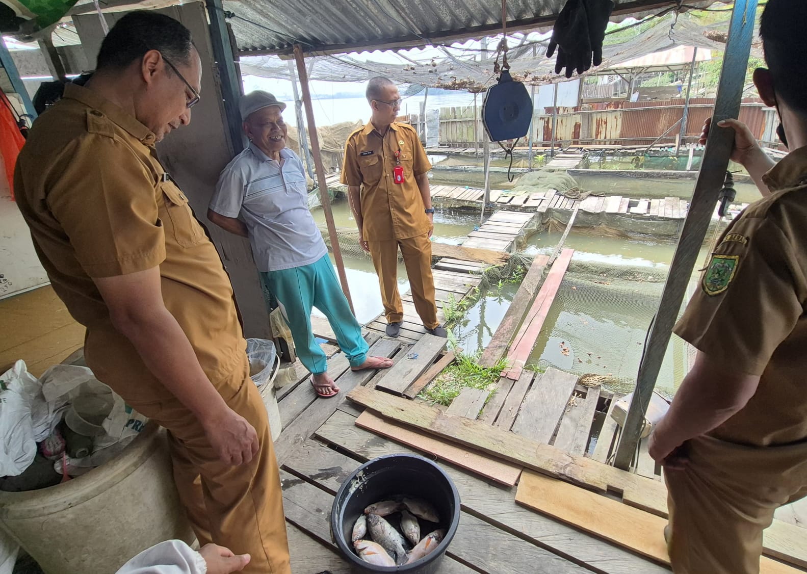 Diskan Berau Ungkap Pemicu Kematian massal Ikan di Sungai Segah