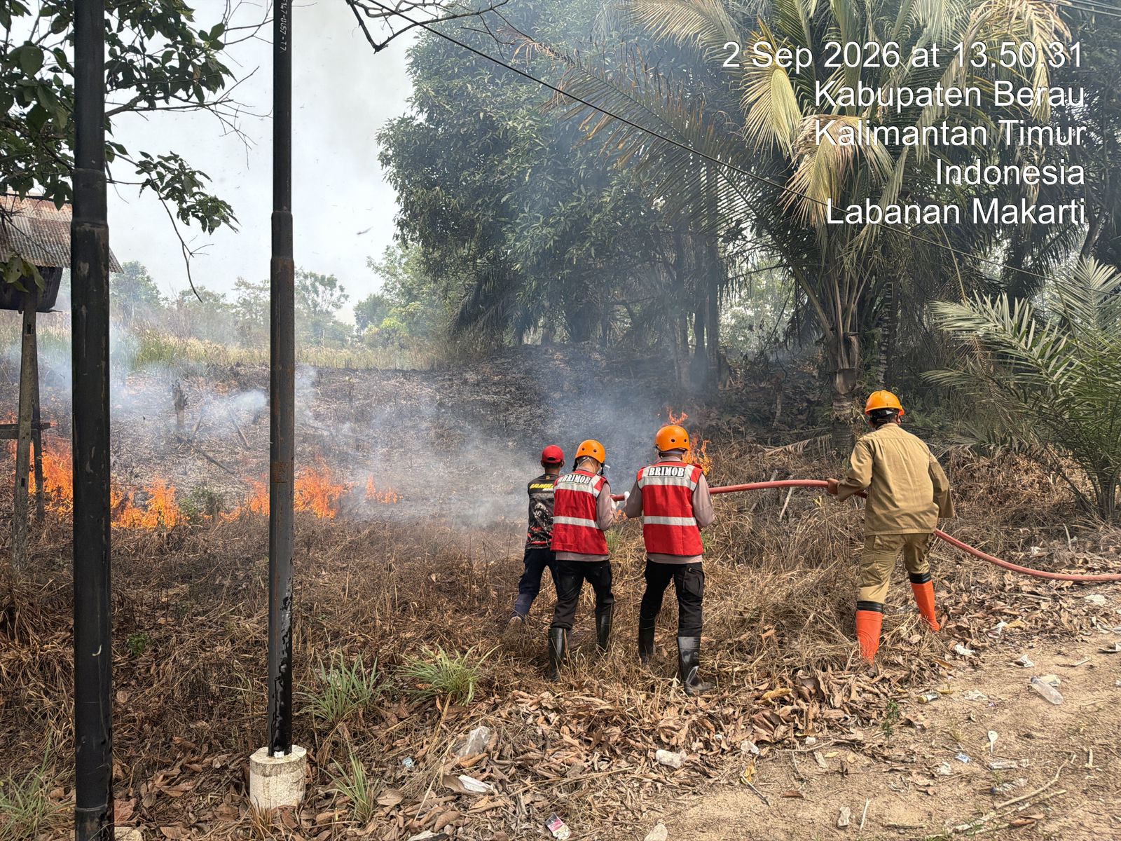 Cepat Tanggap Karhutla: Tim Siaga Brimob Kaltim Padamkan Api Karhutla 1 Hektare di Berau
