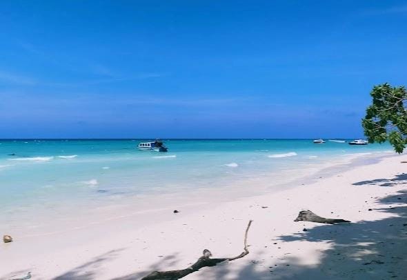 Menjaga Maratua: Langkah Pemkab Atasi Abrasi Demi Keberlanjutan Pariwisata dan Habitat Penyu