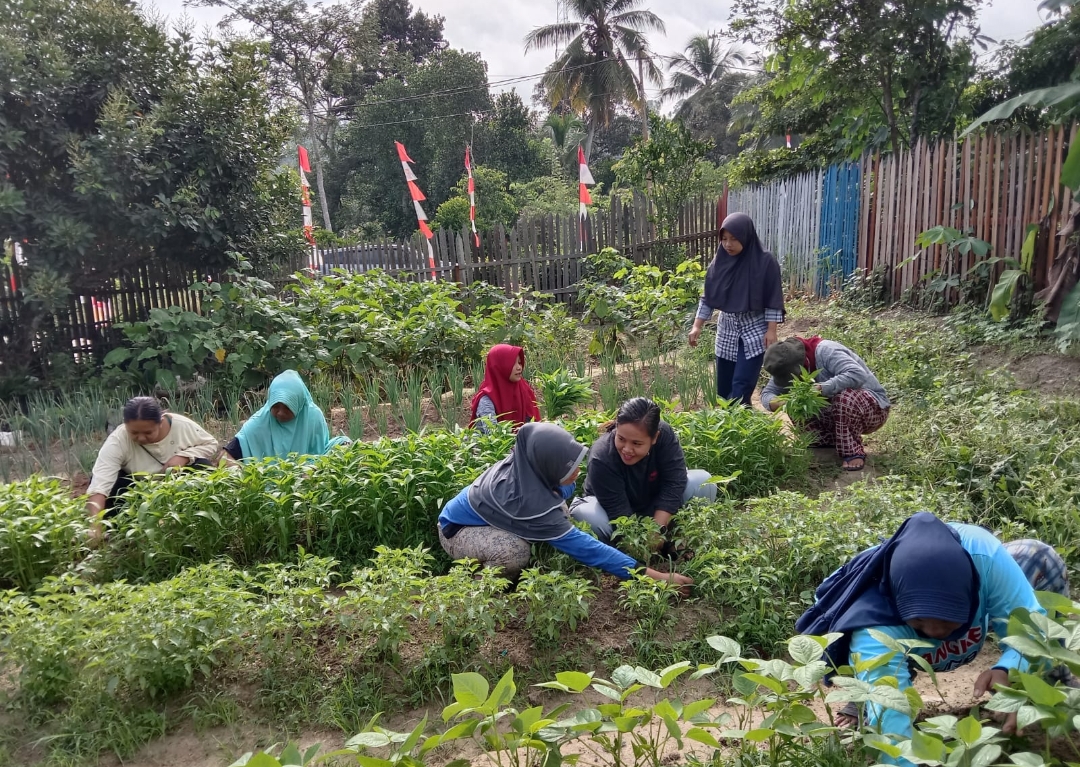 Maksimalkan Perkebunan dan Pertanian Menuju Kampung Mandiri