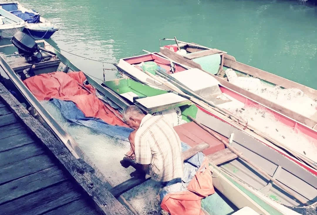 Gali Harta Karun Laut, Pemkab Berau Pacu Pembangunan Bahari Berkelanjutan