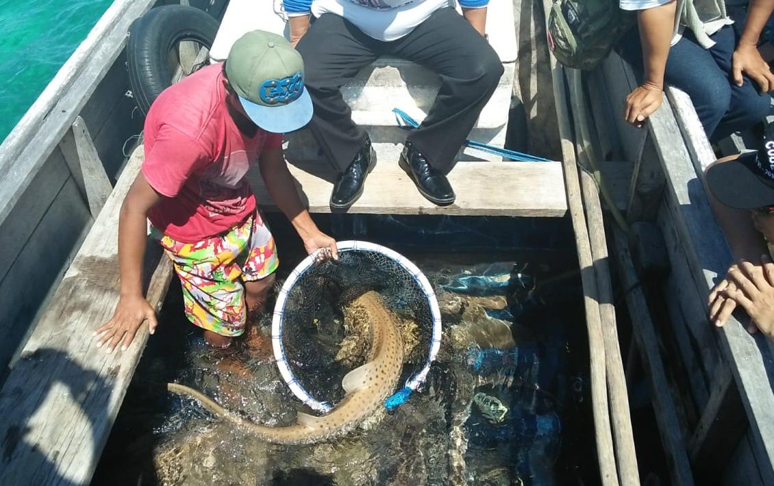 Usulan Diterima KKP, Pembangunan Fasilitas Kampung Nelayan Merah Putih di Berau Segera Dimulai